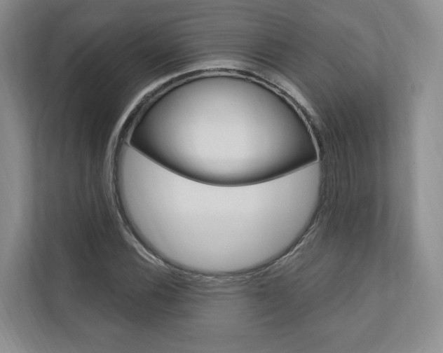 X0000110741116200906150923