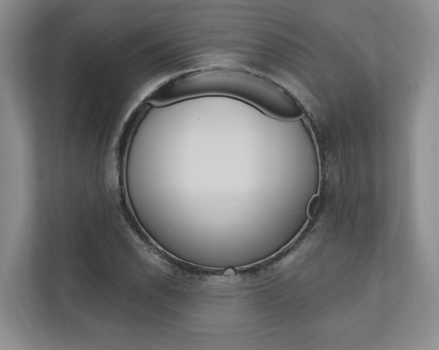 X0000110741118200906150923