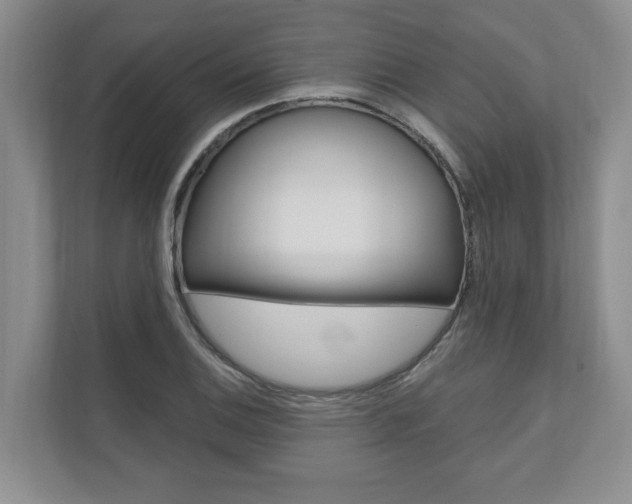 X0000110741124200906150923