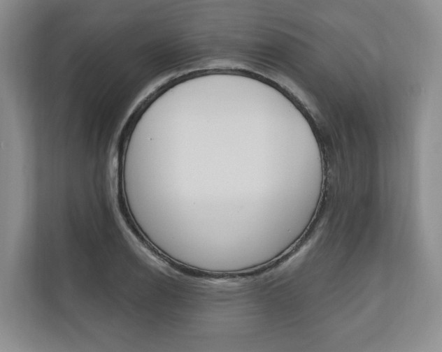 X0000110741126200906150923