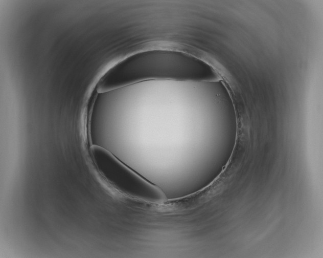 X0000110741128200906150923