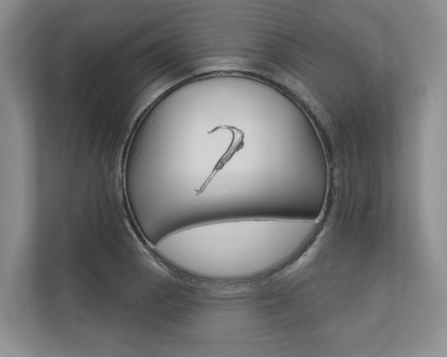 X0000110741129200906150923