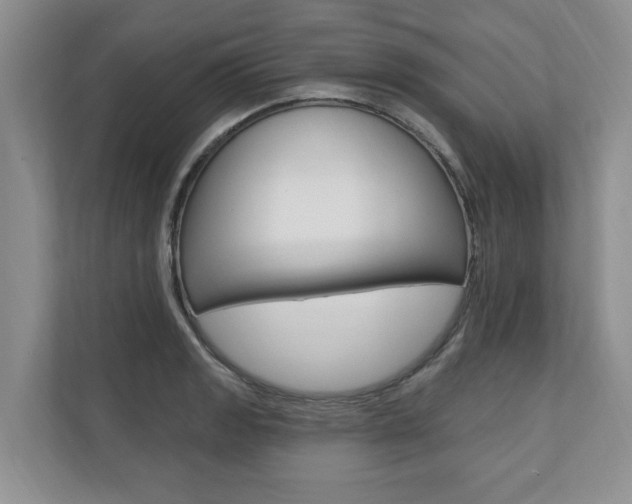 X0000110741133200906150923