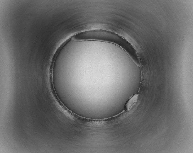 X0000110741134200906150923