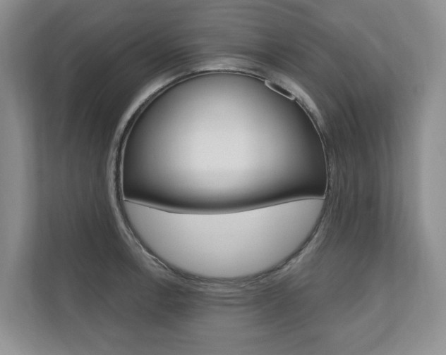 X0000110741138200906150923