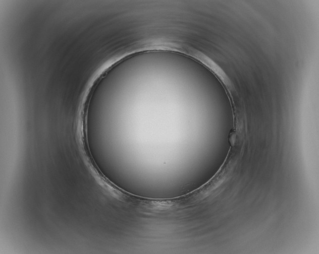 X0000110741144200906150924