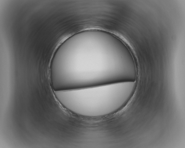 X0000110741145200906150924