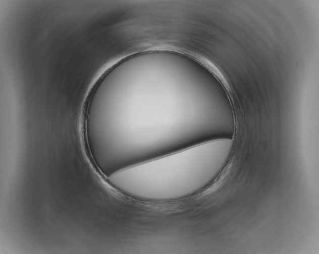 X0000110741149200906150924