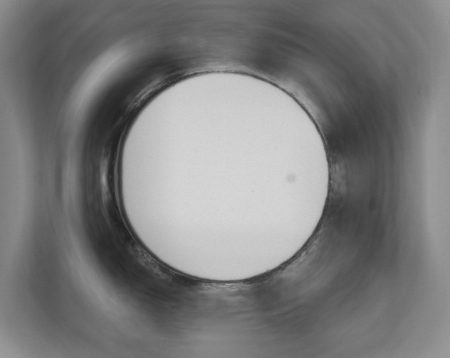 X0000110741150200906150924