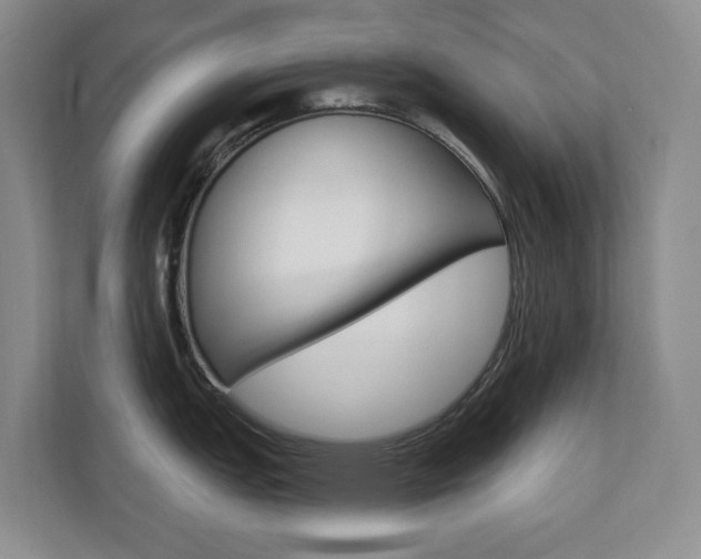 X0000110741151200906150924