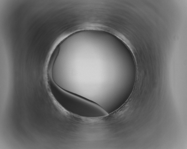 X0000110741152200906150924
