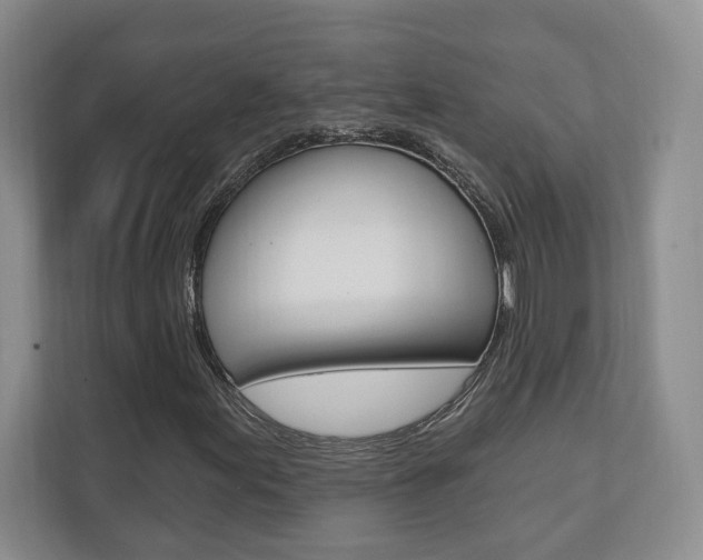 X0000110741155200906150923
