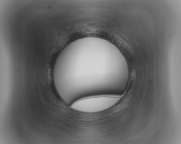 X0000110741156200906150923