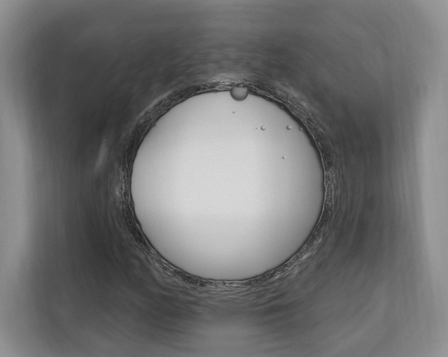 X0000110741158200906150923