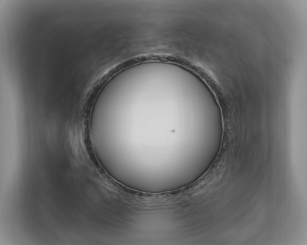 X0000110741159200906150923