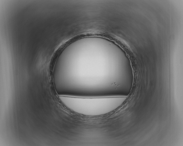 X0000110741160200906150923