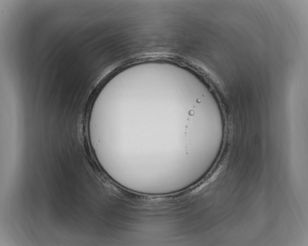 X0000110741162200906150923