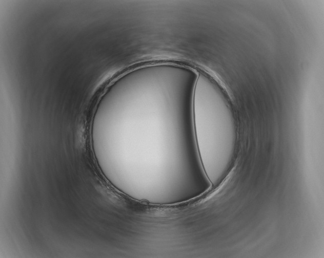 X0000110741163200906150923