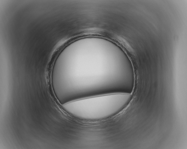 X0000110741164200906150923