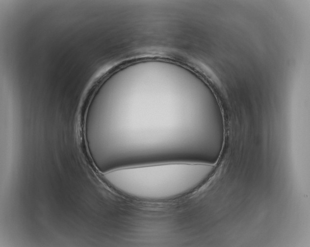 X0000110741172200906150923
