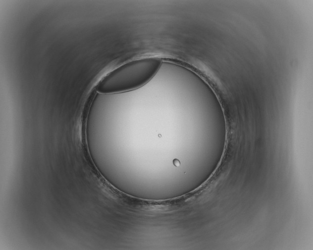 X0000110741173200906150923