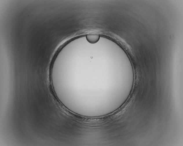 X0000110741174200906150923