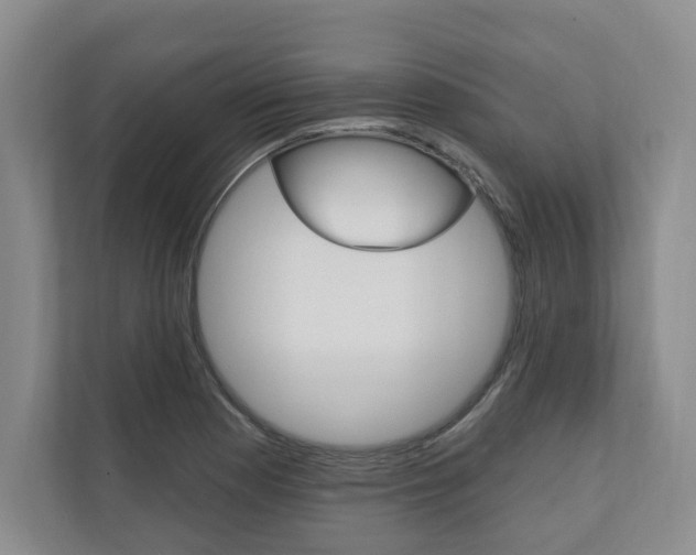X0000110741177200906150923