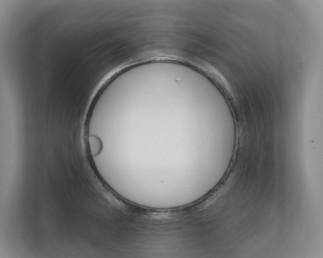 X0000110741182200906150923