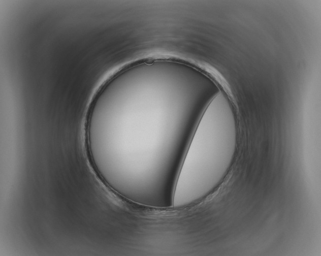 X0000110741183200906150923
