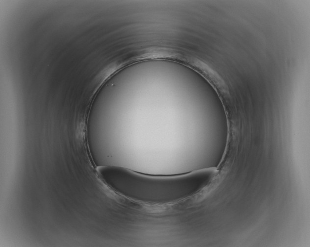 X0000110741185200906150923
