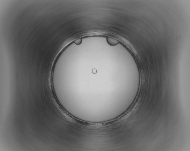 X0000110741186200906150923