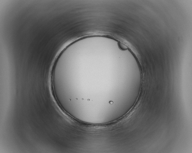 X0000110741187200906150923
