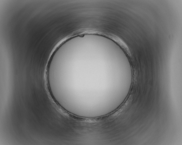 X0000110741190200906150923