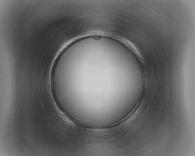 X0000110741192200906150922