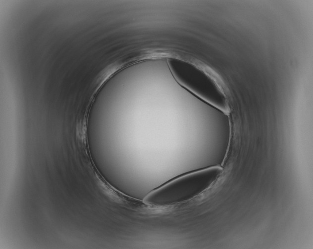 X0000110741193200906150922