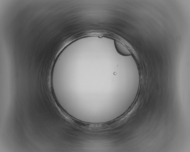 X0000110741194200906150922