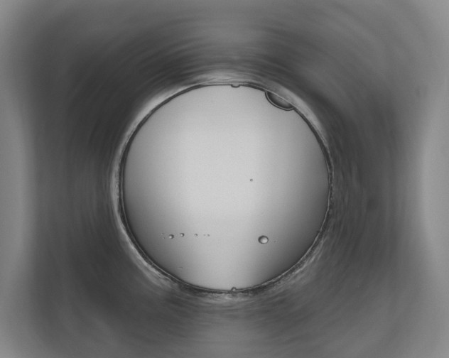 X0000110741195200906150922