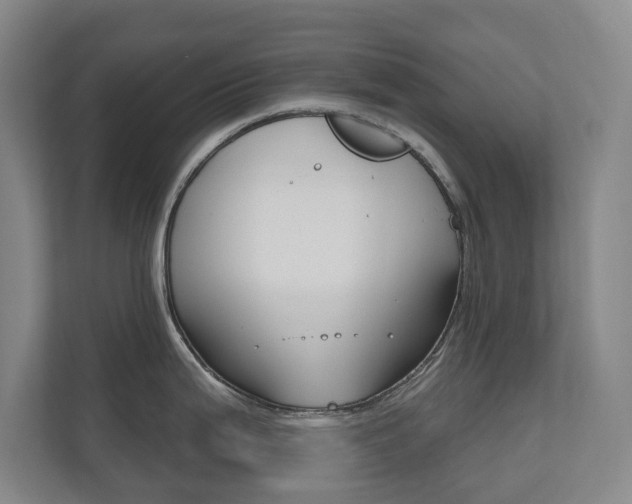 X0000110741199200906150922