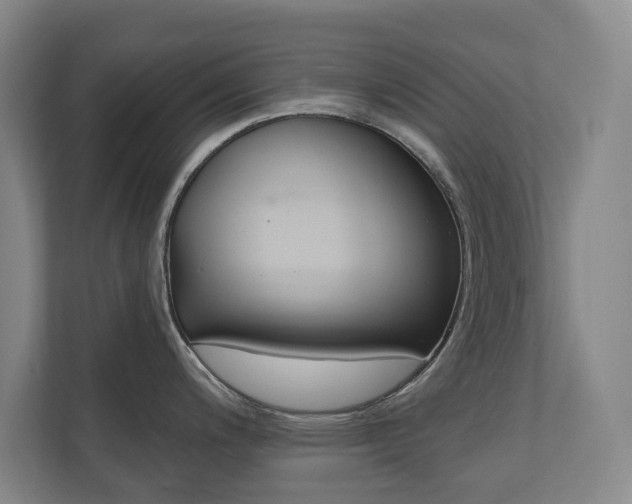 X0000110741200200906150922