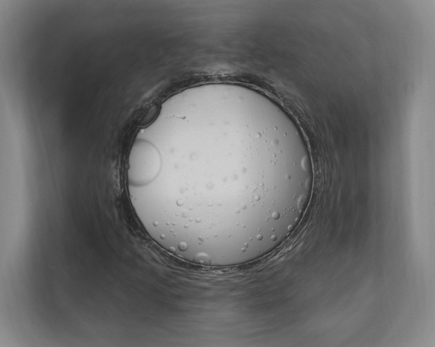 X0000110741205200906150922