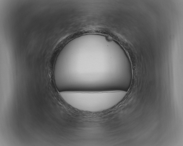 X0000110741206200906150922