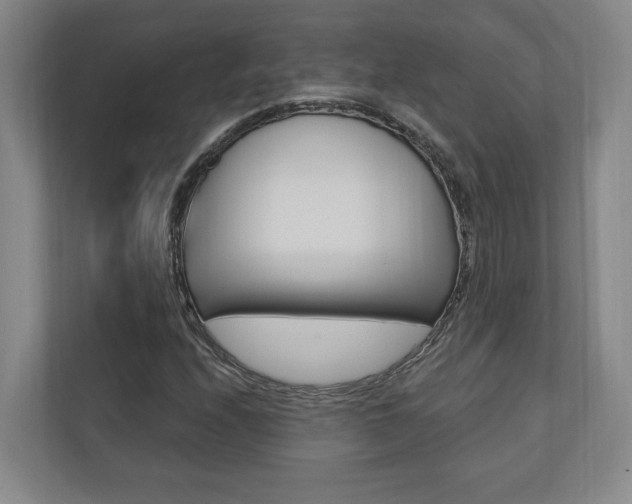 X0000110741208200906150922