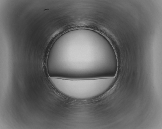 X0000110741210200906150922