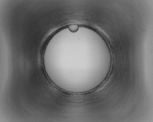 X0000110741215200906150922
