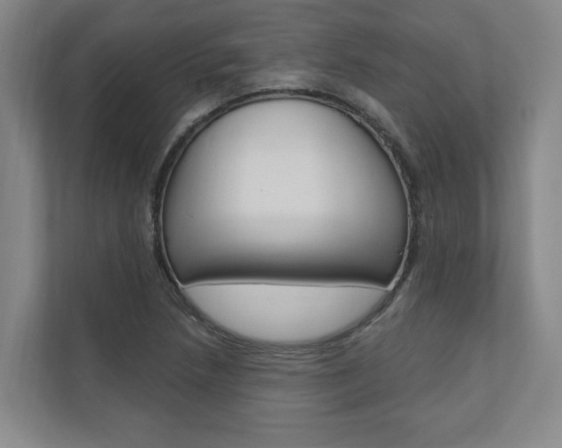 X0000110741218200906150922
