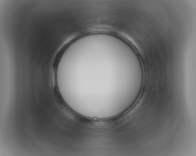 X0000110741219200906150922