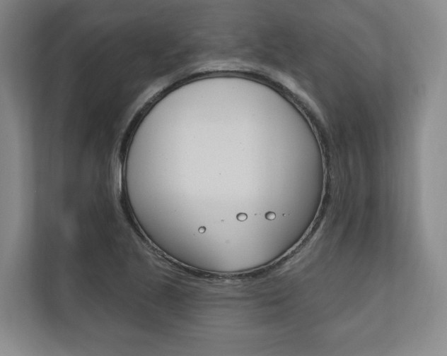 X0000110741221200906150922
