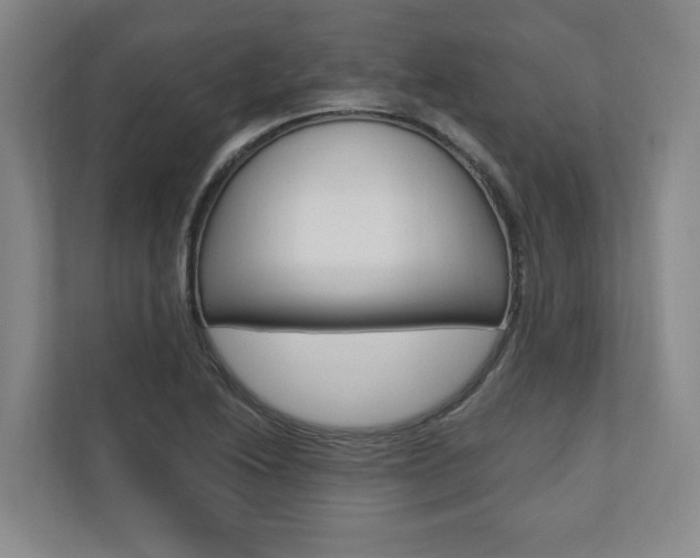 X0000110741222200906150922