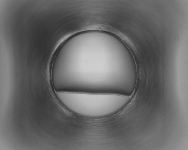 X0000110741230200906150922