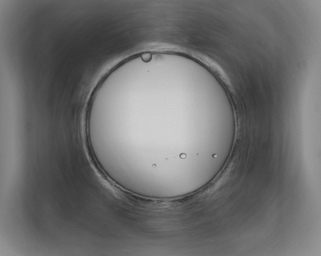 X0000110741231200906150922